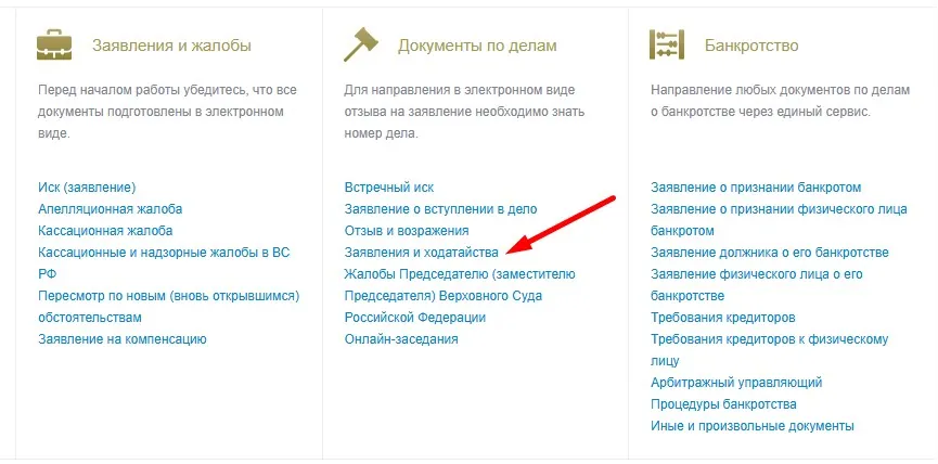 Раздел «Документы по делам»: пункт «Заявления и ходатайства»